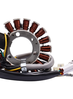 适用雅马哈TTR/TT/XT225全地形越野摩托车磁电机发电线圈点火线圈