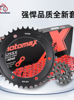 大小齿链轮适用雅马哈FZR/YFZ600 94-95 FZS600 98-03链条套链