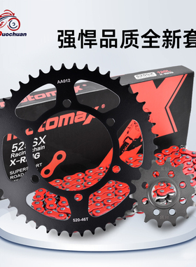 适用川崎KLE300大小牙盘前后链轮Versys静音油封摩托车链条套链