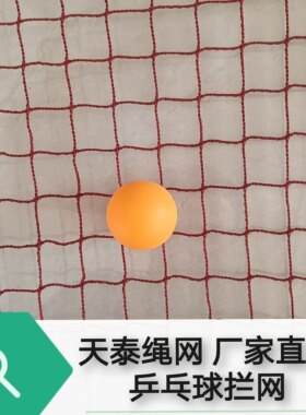 乒乓球场地围网围挡网训练网拦球网围栏防护网无结网拦截网枣红色