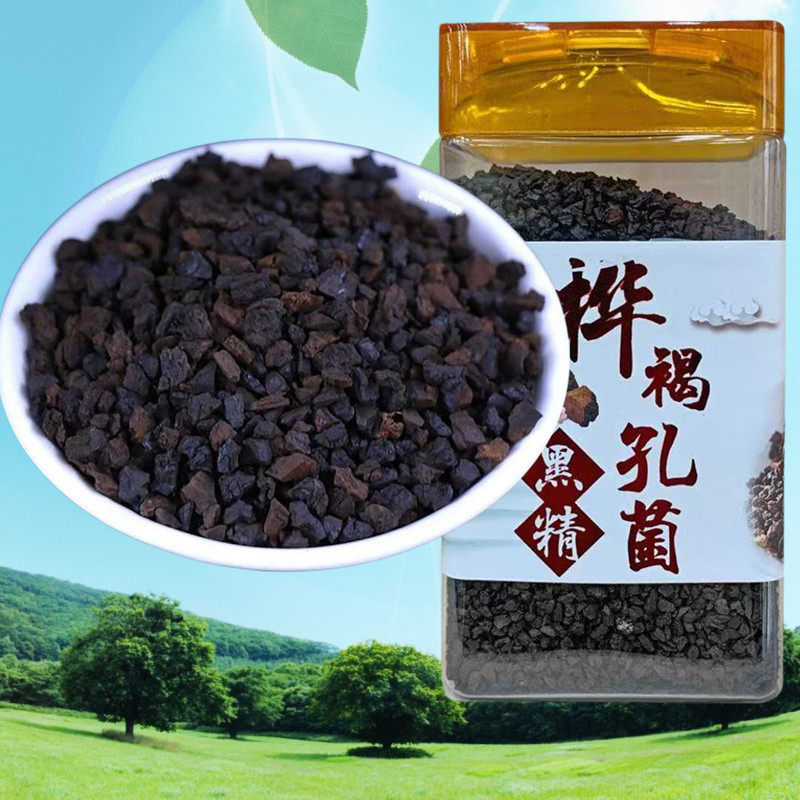 长白山桦褐孔菌桦树茸