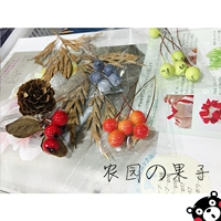 Eternal Life Flower DIY Multi -Color In -Fruit Material Accessories