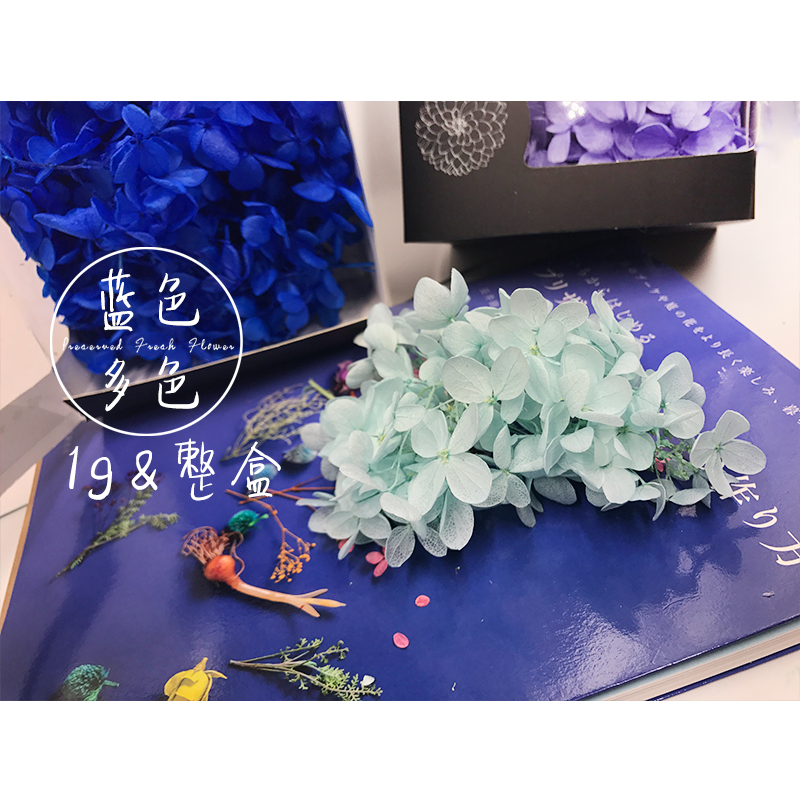 ľÐåÇò1g20gÕûºÐ ÓÀÉú»¨diy²ÄÁϰüõ¹å»¨²Ä³µ¹ÒÔ¿³×¿ÛÀñºÐ¾«Ñ¡