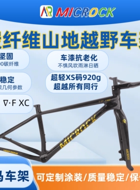 MICROCK小石大石半内走线T1000碳纤维山地硬尾自行车车架超轻920g