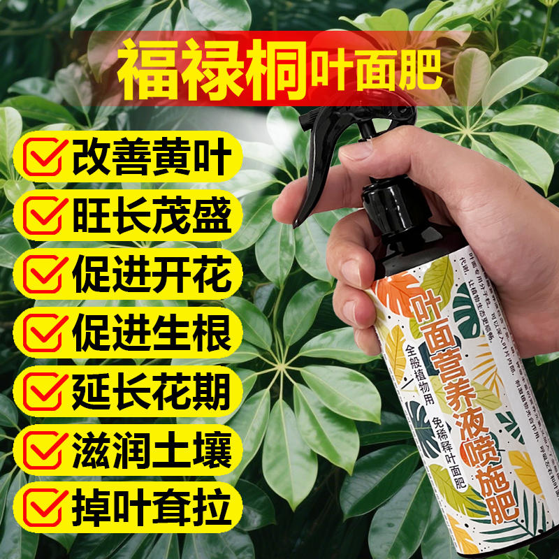 福禄桐专用肥料绿植羽叶福禄桐树盆栽营养液有机肥颗粒水溶化肥料