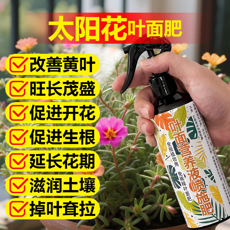 太阳花专用肥料养殖盆栽花肥土营养液叶子卷缩枯黄脱落掉叶面肥料