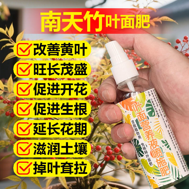 南天竹专用肥料盆栽营养液叶焦边干枯叶斑尖枯黄叶子下垂叶面肥料