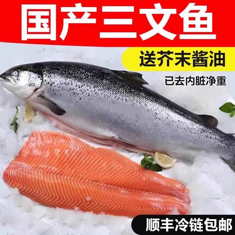 顺丰新疆国产虹鳟三文鱼整条