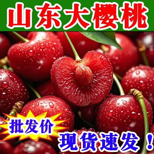 山东特产泰安天宝红灯大樱桃露天新鲜水果樱桃孕妇水果现摘