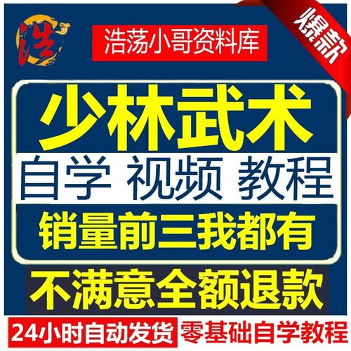 武术新视频教程全部资源 少林武术武打街头格斗套路擒拿视频教程