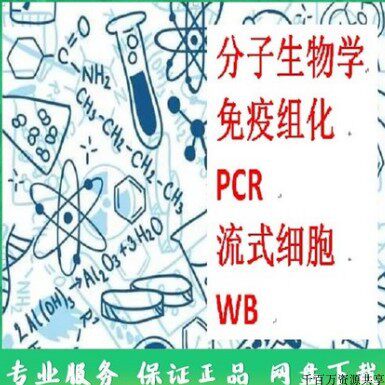 分子生物学 零基础 免疫组化 PCR 流式细胞 WB 实验视频 教程