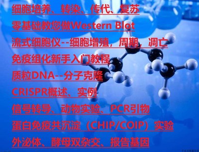 分子生物学教程初级中级高级实验视频pdf流式细胞WB免疫组化PCR
