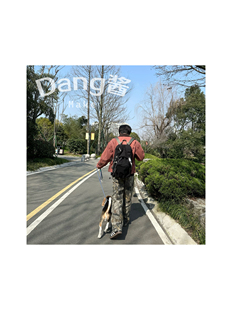 补货中 cleanfit风格 vintage 树枝裤 百搭神物 挡酱自主