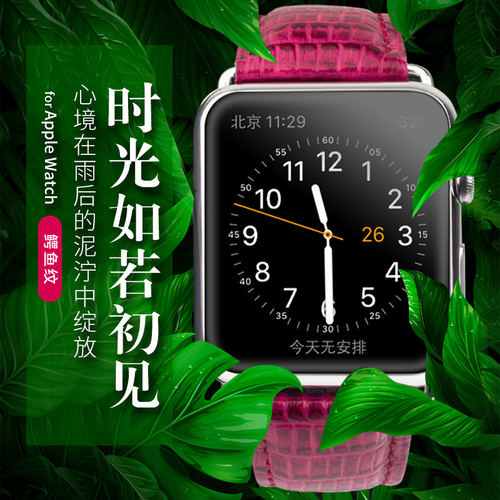 适用于苹果applewatch