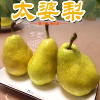 煙臺(tái)太婆梨子水果新鮮啤梨大頭梨香蕉梨茄梨軟梨10丑5斤當(dāng)季整箱