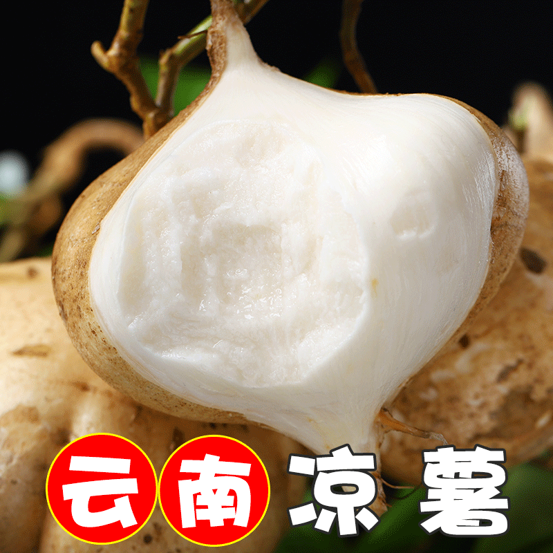 云南白心地瓜沙葛土番薯凉薯包邮