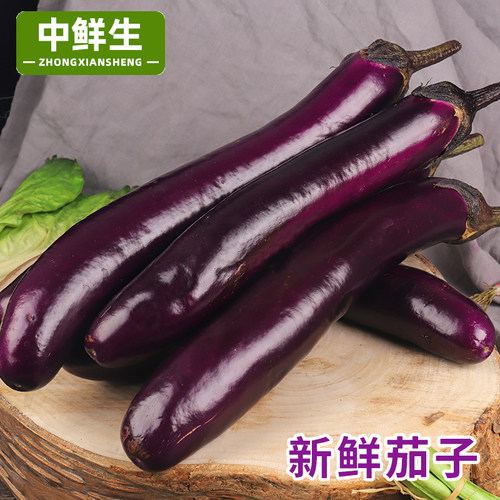 中鲜生云南高原长茄子时令蔬菜