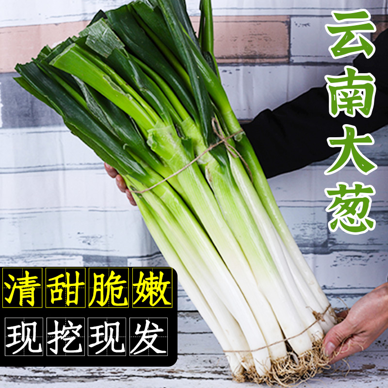 云南大葱新鲜蔬菜铁杆大葱新鲜现拔去皮去叶5斤包邮