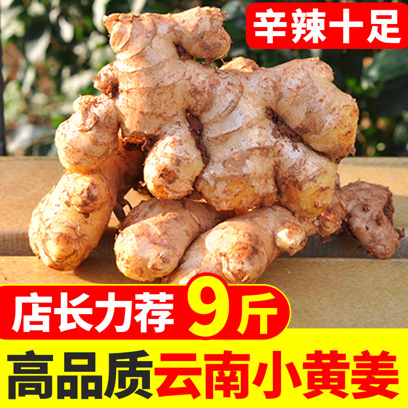 中鲜生云南小黄姜生姜新鲜罗平食用月子姜嫩姜山地老土姜净重9斤