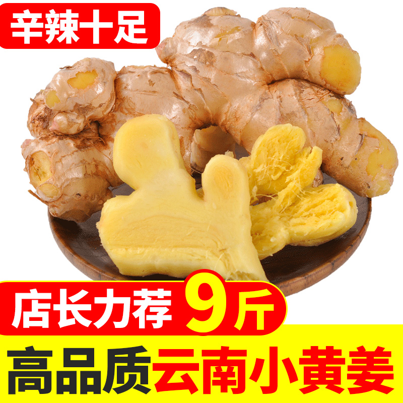 云南文山小黄姜5斤生姜现挖新鲜姜食用老土姜包邮山地月子姜辛辣