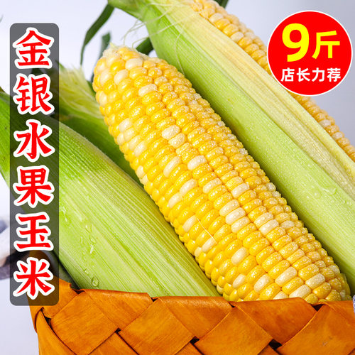 脆嫩现摘生吃即食金银水果玉米