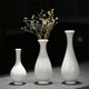 白瓷观音玉净瓶黑色陶瓷花插小花瓶花器水培家居简约饰品茶道摆件
