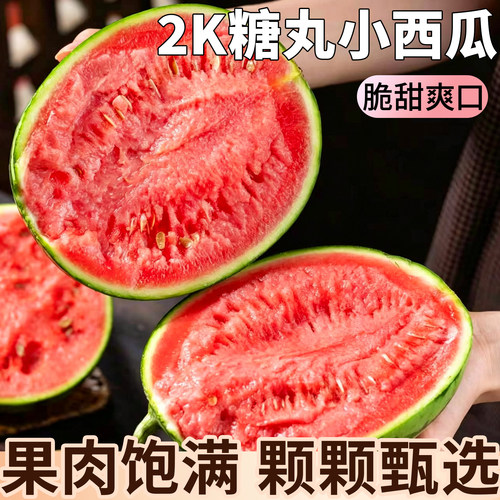 顺丰包邮|2k西瓜手撕小糖丸西瓜
