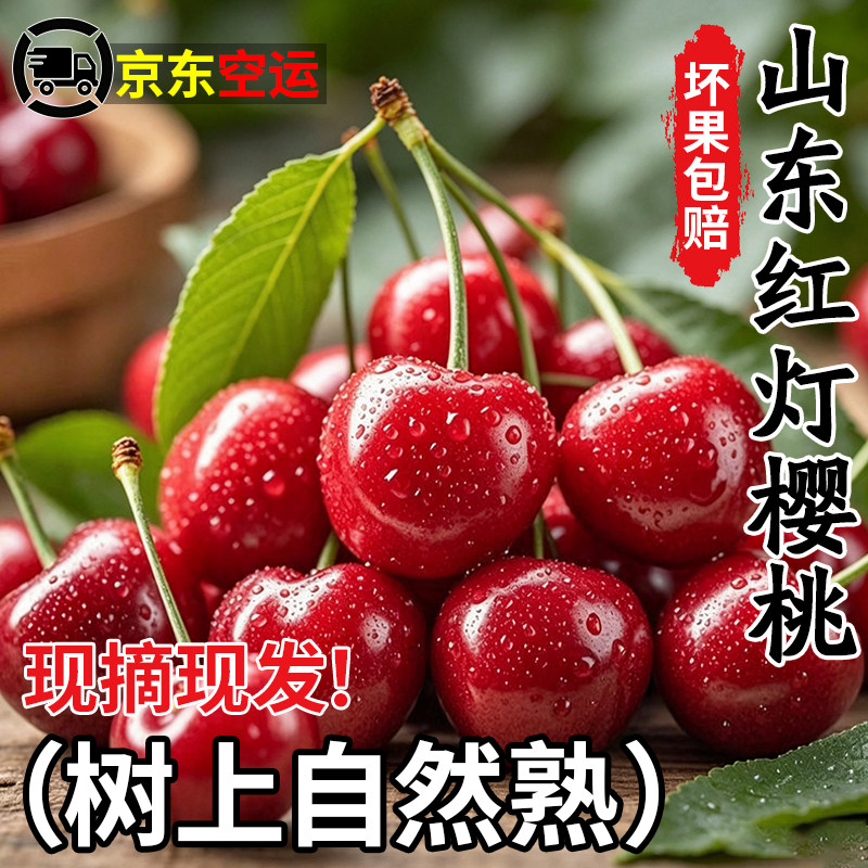 山东红灯大樱桃5斤新鲜水果国产车厘子当季现摘现发京东空运
