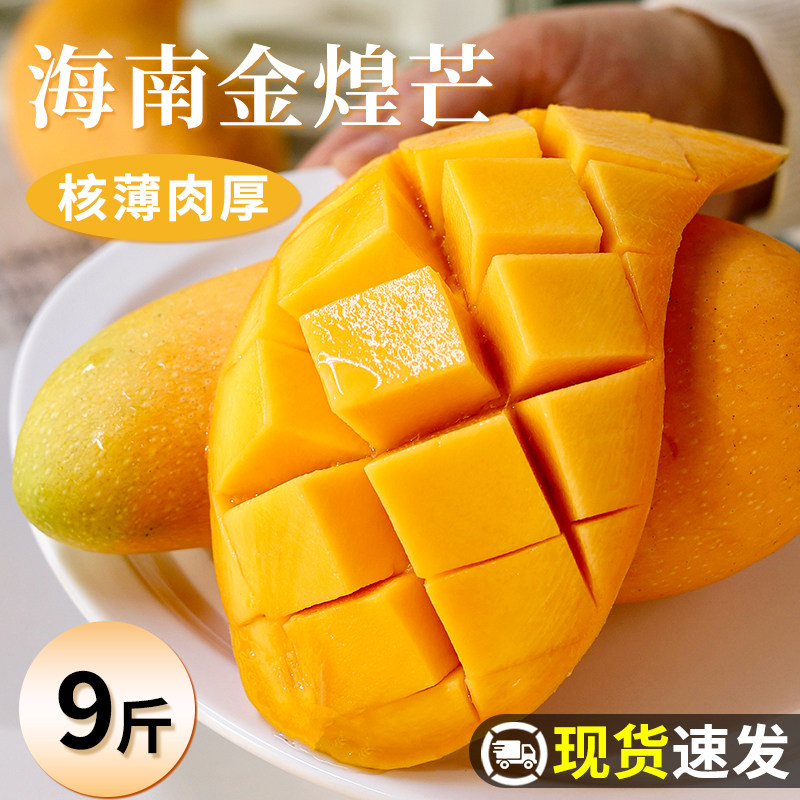 海南金煌芒当季现摘5斤大芒果皮薄肉厚核小香甜多汁9斤整箱包邮
