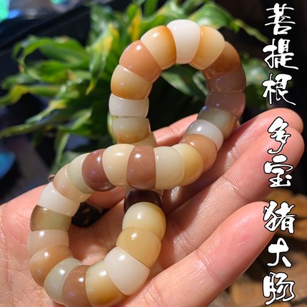 菩提根多宝猪大肠精品文玩趣味搭配手串