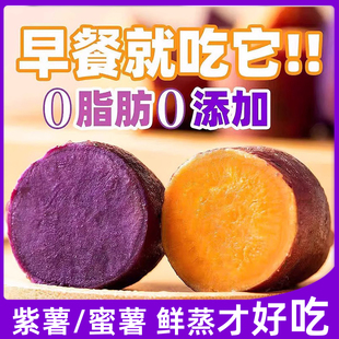 开袋即食紫薯蜜薯鲜蒸红薯零食代餐地瓜健身减期吃的低0脂肪轻食