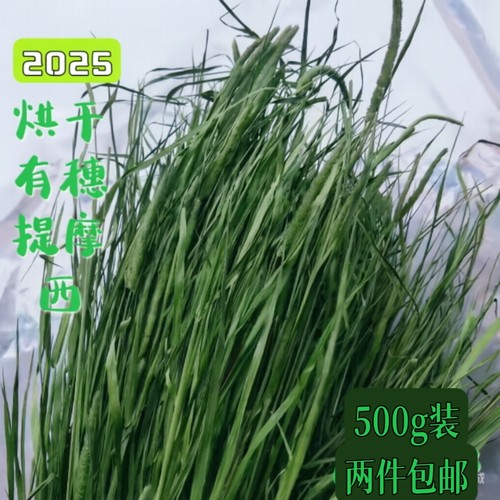 2026新烘干北提摩西草磨牙干草有穗提草兔子草龙猫干草荷兰猪草料