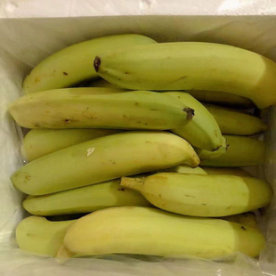 广西高山甜香蕉单个包装 青蕉发货放熟放软食用