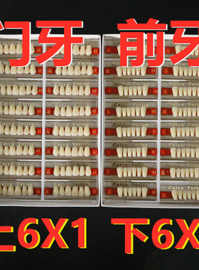 牙科材料 采玉合成树脂牙6X1 门牙 8X1后牙 玉鹰全口义齿口腔齿科