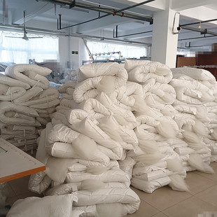 酒店宾馆美容养老秋冬被子丝绵被羽丝绒被春秋夏凉被芯家用宿舍厚