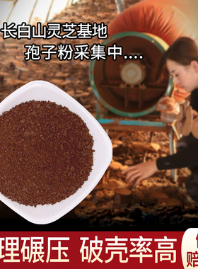 支持检测纯正品破壳灵芝孢子粉500g散装椴木林芝东北长白山袍子粉