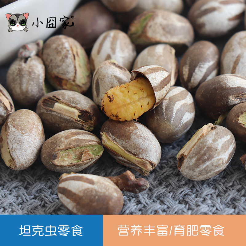 蜜袋鼯零食坦克虫幼虫洋辣子蜜袋鼬松鼠睡鼠刺猬仓鼠花枝鼠飞鼠