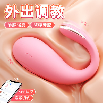 Powerful Dildo Vibrator Sex Toys For Women G-Spot Clitoris