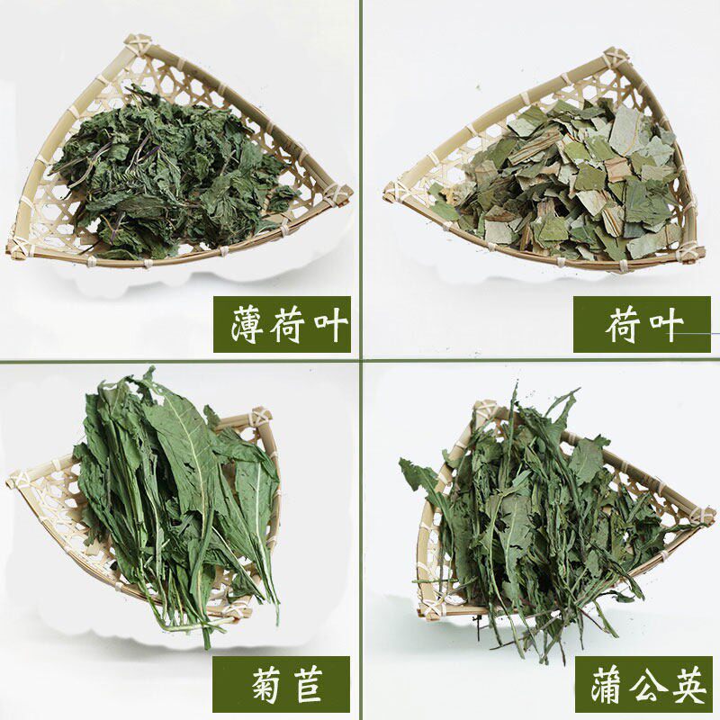 小宠辅草薄荷叶桑叶菊苣蒲公英荷叶干草兔子龙猫豚鼠仓鼠保健草