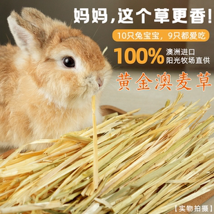 新草手挑澳麦草进口澳洲黄金燕麦草兔兔干草龙猫豚鼠荷兰猪粮饲料