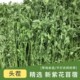 2025烘干紫花苜蓿草兔饲料兔子专用苜蓿草龙猫豚鼠兔子干草1kg