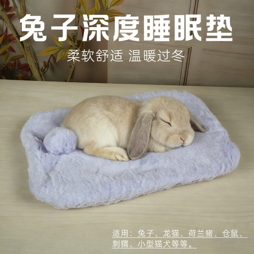 双面毛绒加厚保暖兔子棉垫睡眠垫
