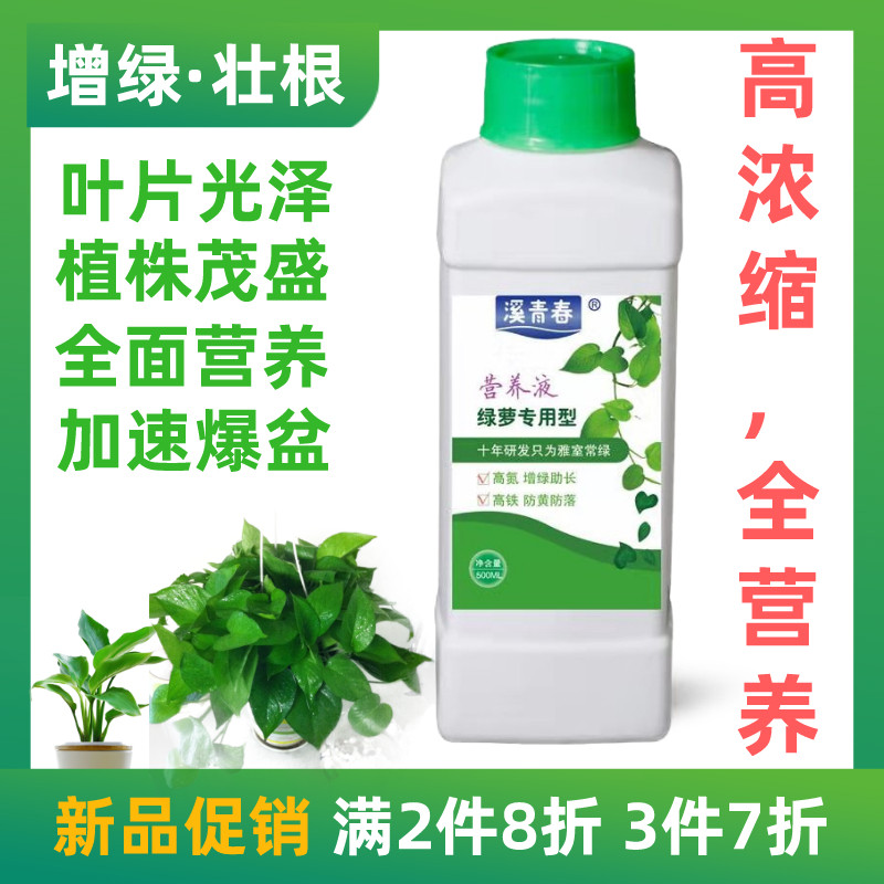 绿萝营养液观叶植物花卉通用营养液增绿促生长绿叶