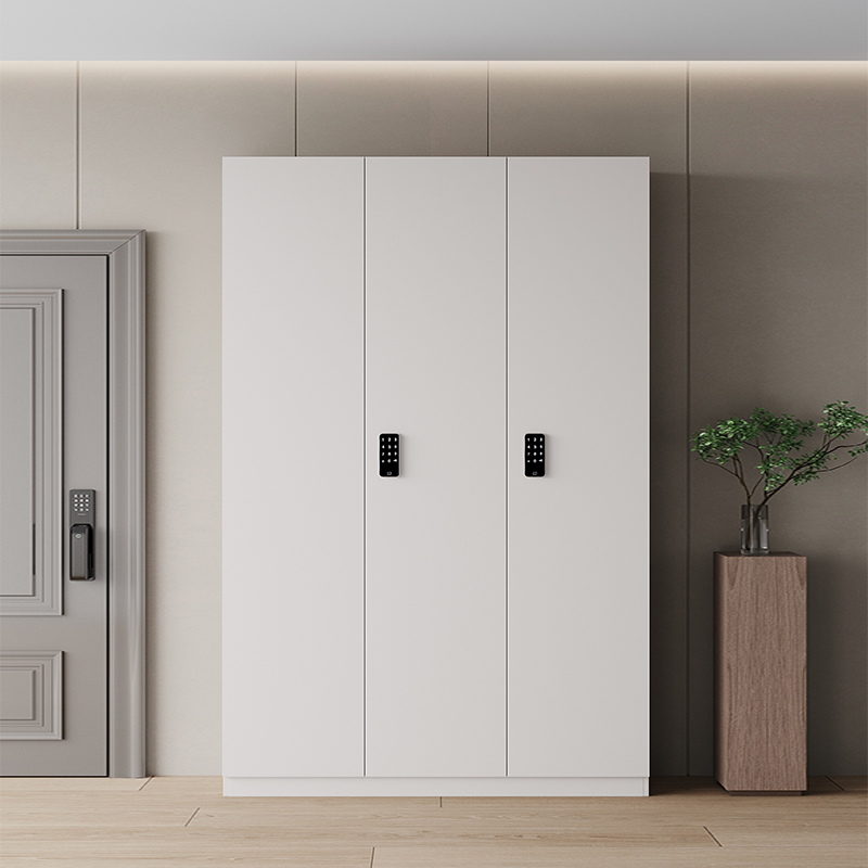 电梯厅鞋柜家用j门口走廊过道带密码锁储物柜一梯一户门外加高白