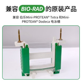 国产WB电泳缓冲液挡板电泳塑料挡板可匹配伯乐BIOQ-RAD/天能电泳