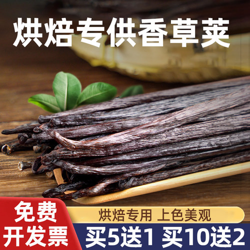 香草荚烘焙马达加斯加香草豆荚