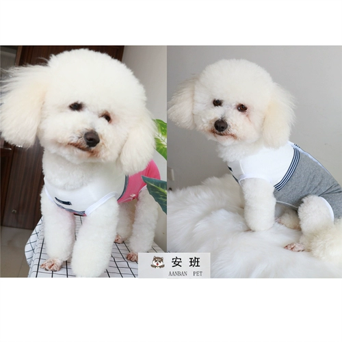 安班 Одежда для домашних животных Тедди Бишон Бомей Весна и Лето Упаковка жилетки для живота предотвращают холодную защиту от живота тонкий четвероногий стиль