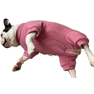 安班法斗八哥体型专用包肚四脚衣