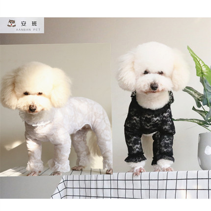 安班宠物春夏四脚防尘长袖衣服泰迪比熊贵宾夏款蕾丝狗狗防晒衣服