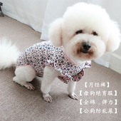 安全裤 安班宠物生理裤 泰迪比熊雪纳瑞月经裤 生理期经期避孕保护服